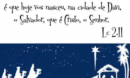 Desejamos a todos os clientes, parceiros e fornecedores um Natal harmonioso e cheio de esperança, com votos de que no próximo ano possamos compartilhar de muitas realizações. Feliz 2017.